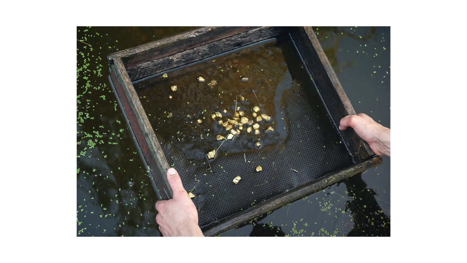 Gold nuggets
