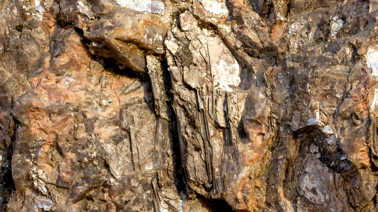 Phlogopite mica