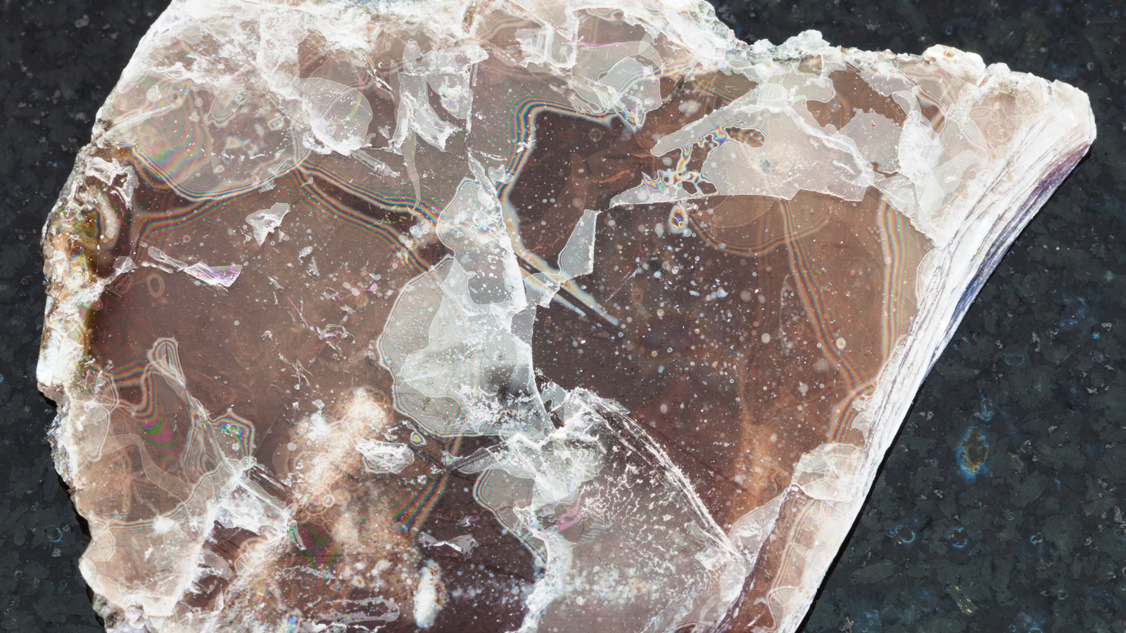 Phlogopite mica